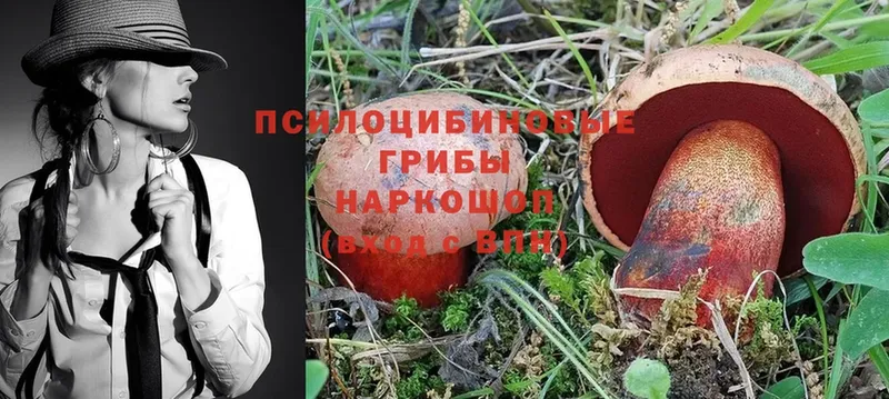 Галлюциногенные грибы Magic Shrooms  наркошоп  мориарти клад  Гдов 